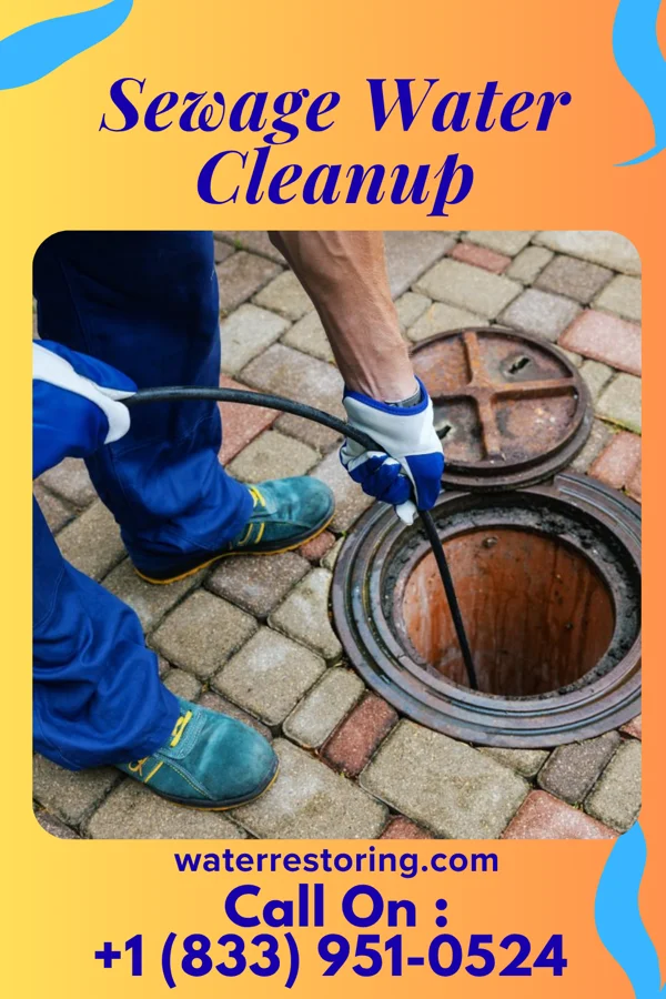 Sewage Water Cleanup in Lathrup Village, MI