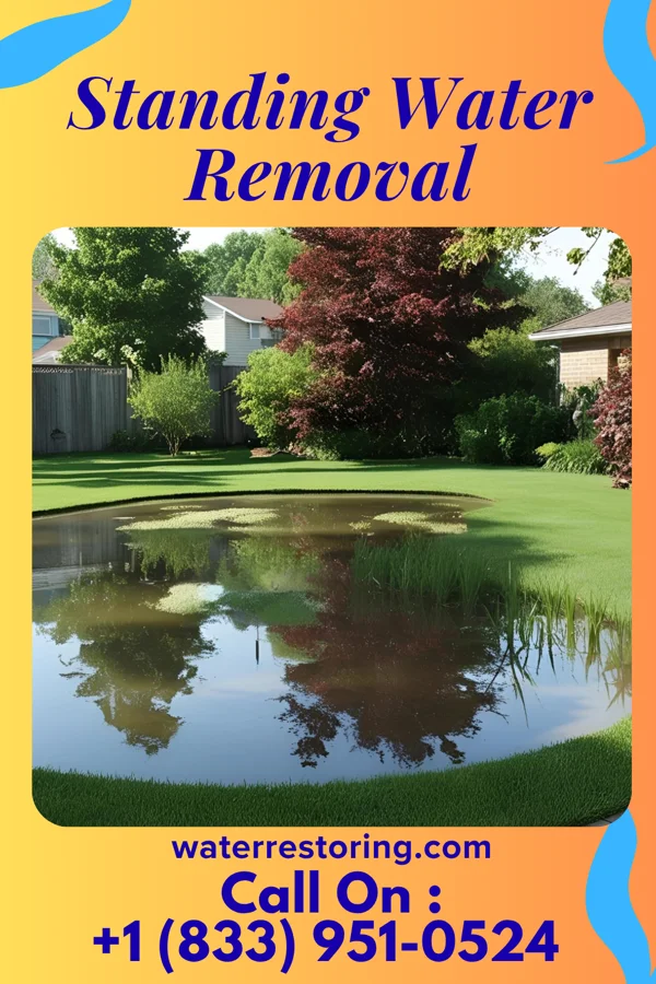 Standing Water Removal in Lathrup Village, MI